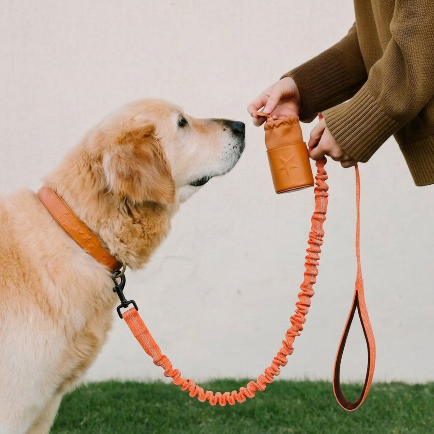 Dog Walking Tips for Safer Walks