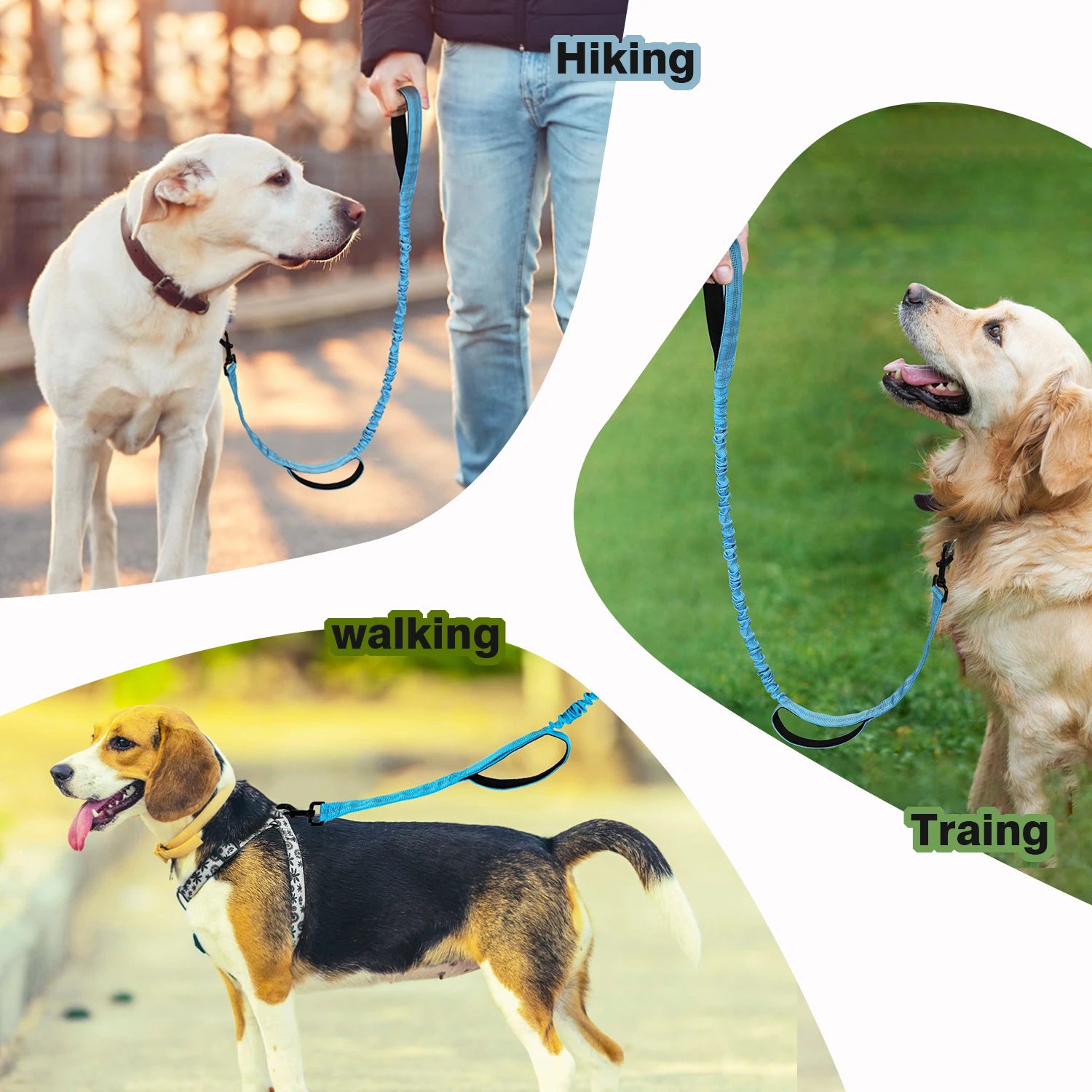 FlexGuard Bungee Dog Leash
