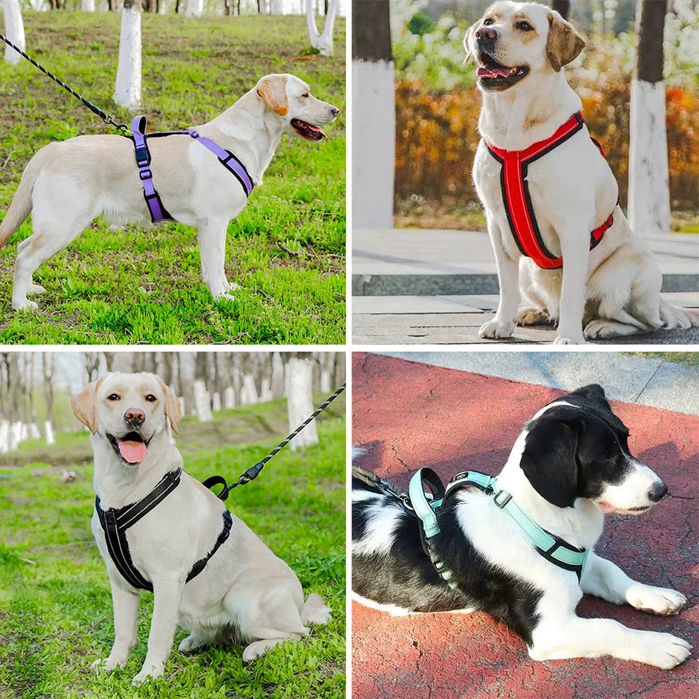 ControlFit Reflective Dog Harness
