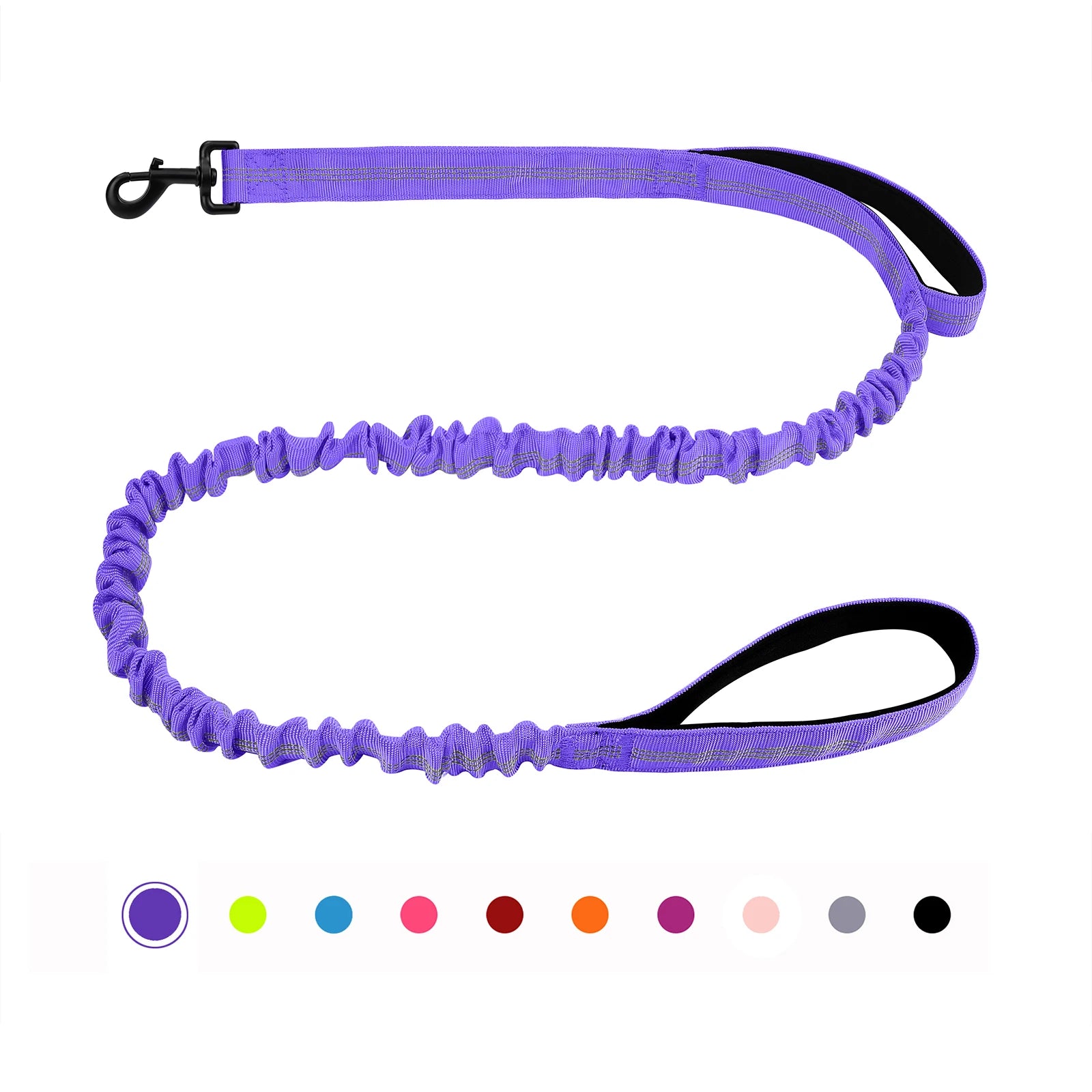 FlexGuard Bungee Dog Leash