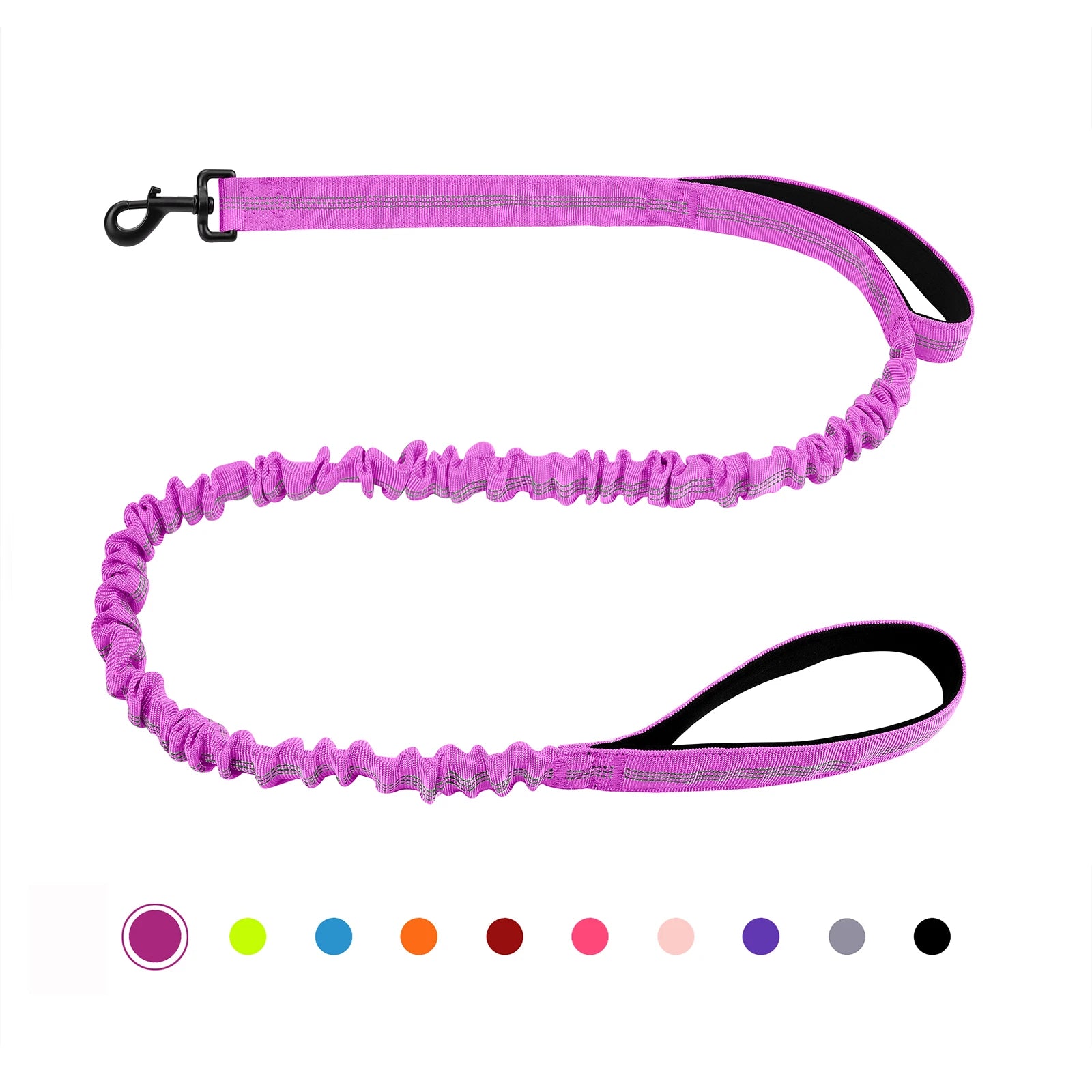 FlexGuard Bungee Dog Leash