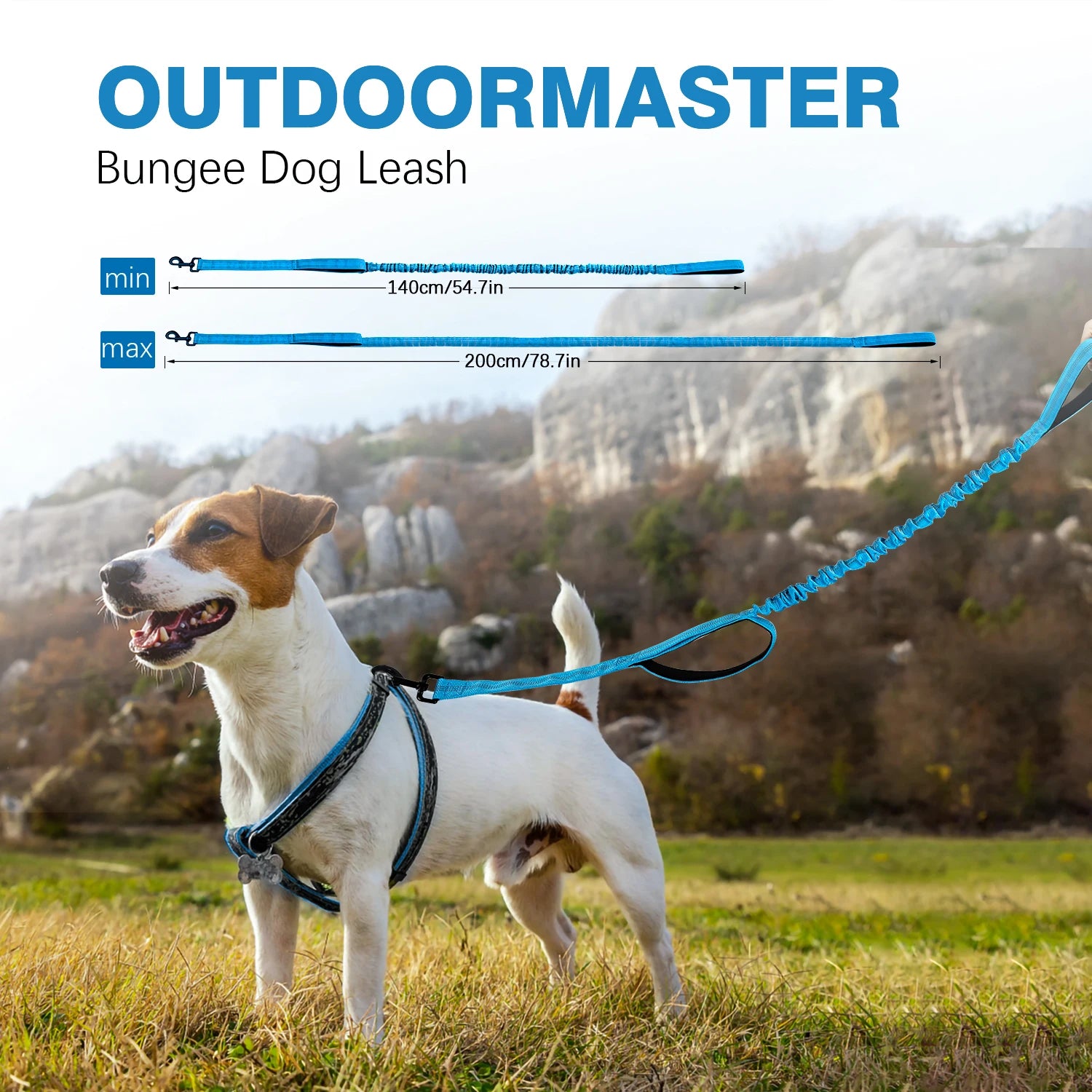 FlexGuard Bungee Dog Leash