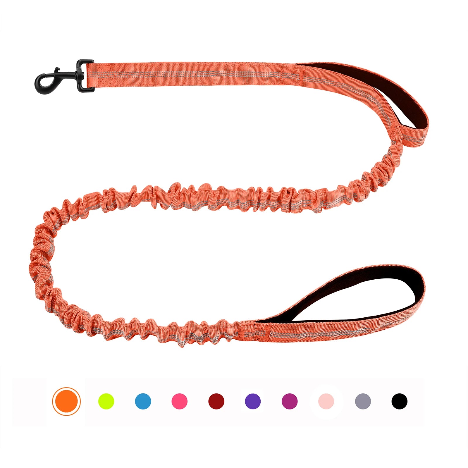 FlexGuard Bungee Dog Leash